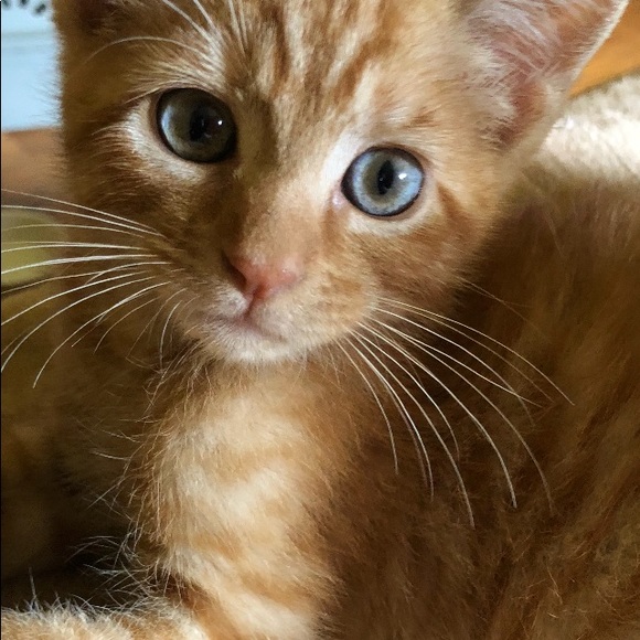 Meet your Posher, Jill - Picture 1 of 1